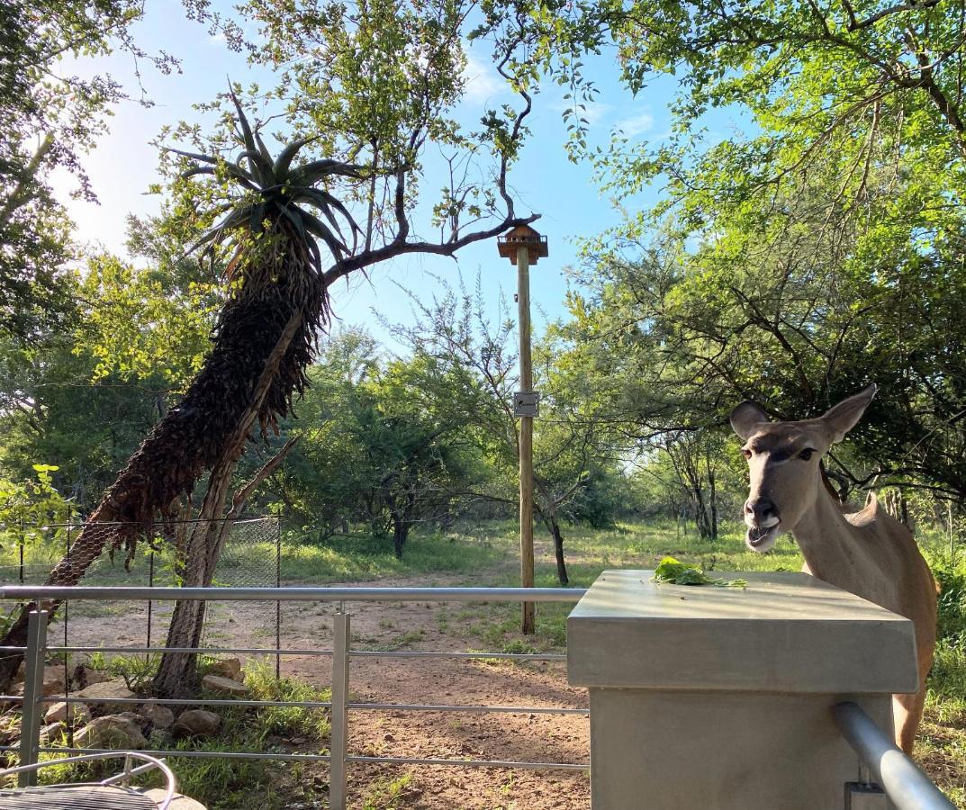 Kruger'S Keep - Luxury Couples Haven Villa Marloth Park Bagian luar foto